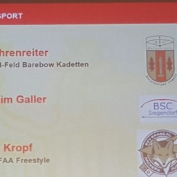 bsv